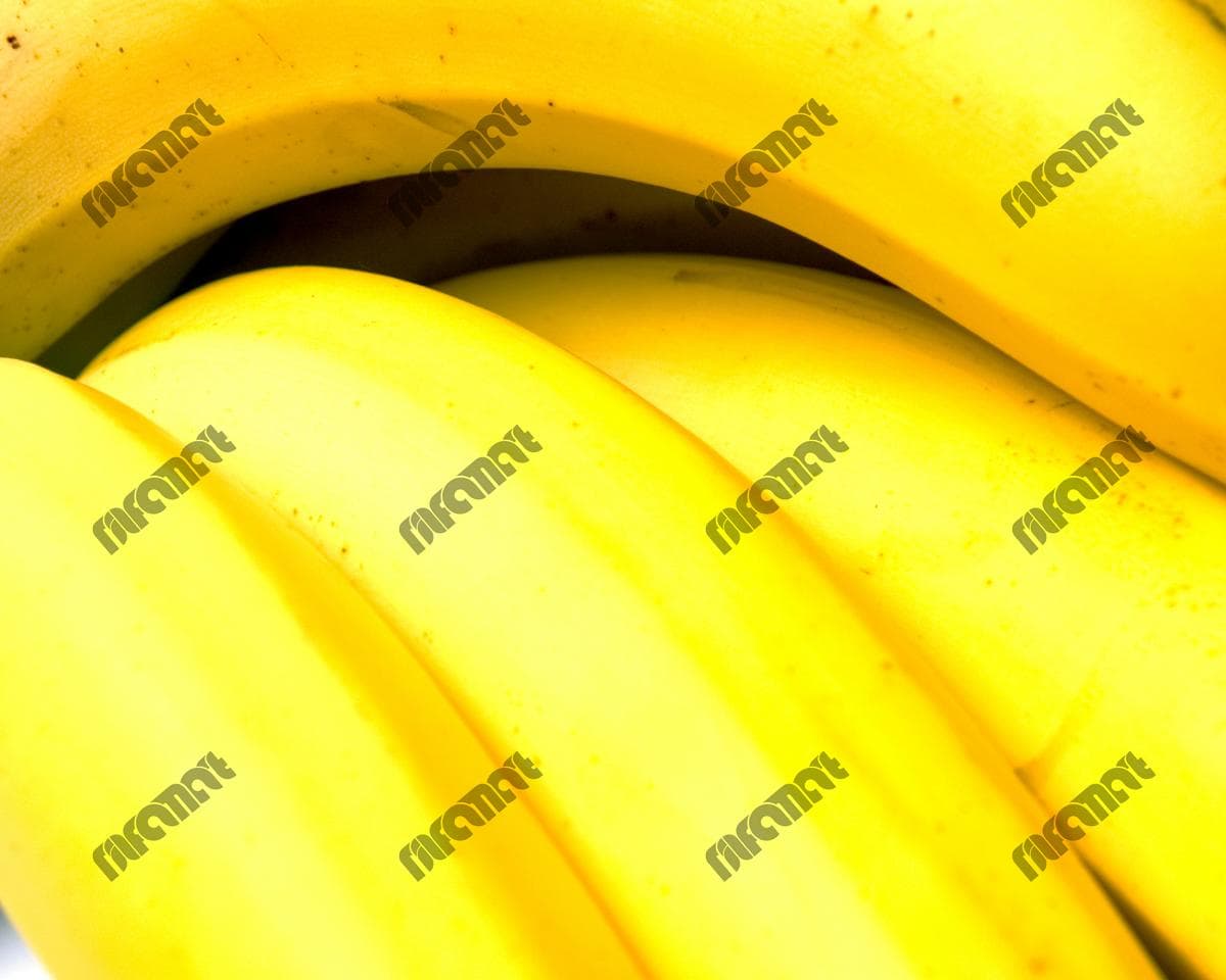 دانلود تصویر طبیعی موز برای طراحی های گرافیکی با کیفیت بالا | نیلفام آرت