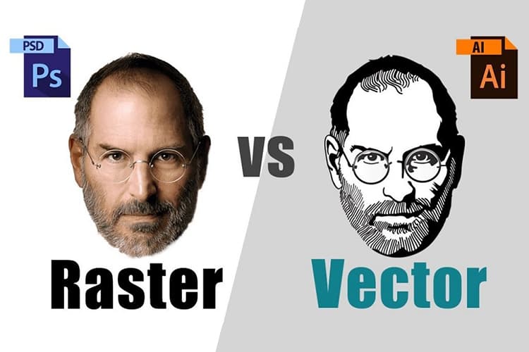 فرق وکتور و psd: تفاوت های کلیدی در طراحی گرافیک
